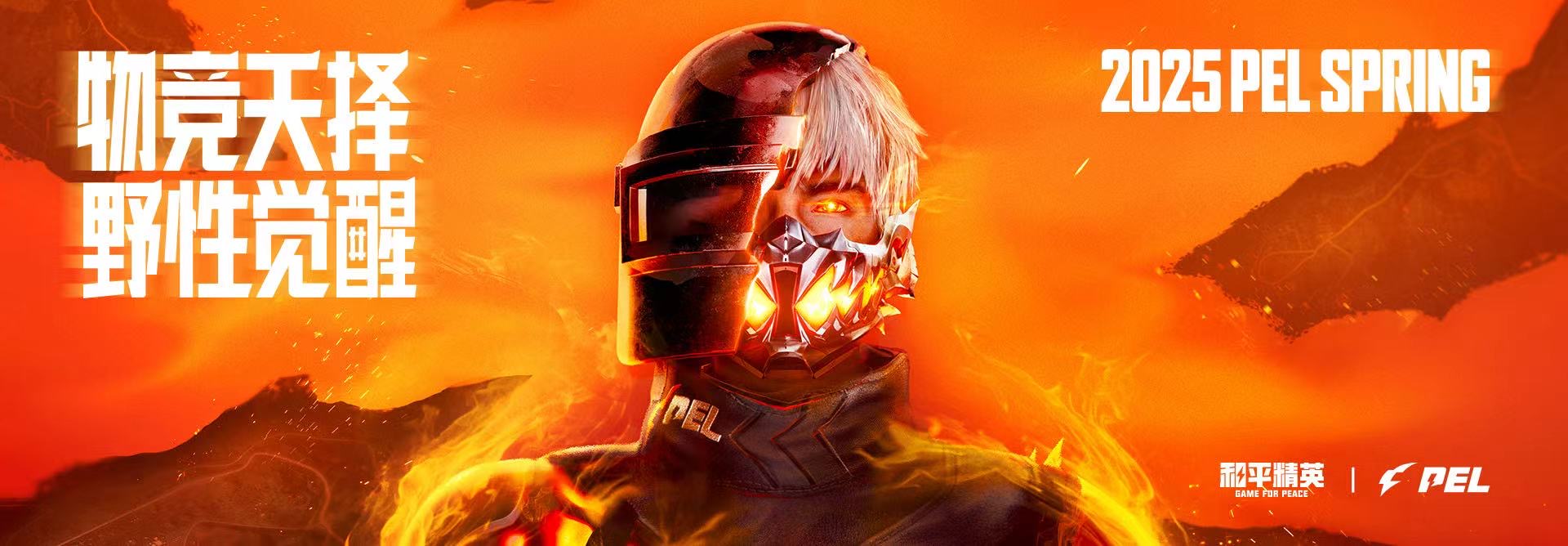 和平精英模拟器《ACE》内部辅助上架